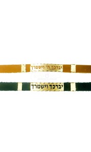 copy of מגן דוד בתוך בזל