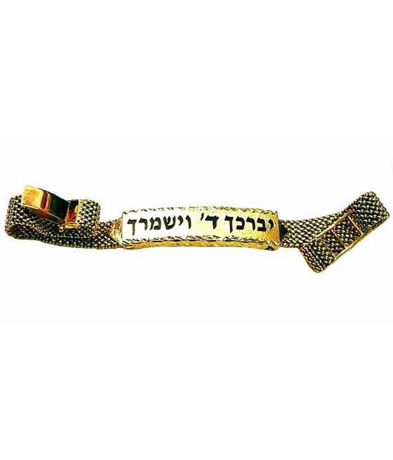 copy of מגן דוד בתוך בזל